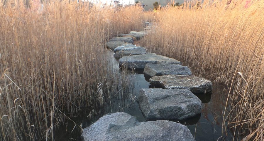 The Art of Stepping Stones