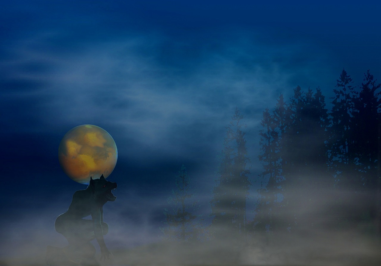 In the Full Moon Mist